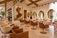 profitable established hair salon - 1