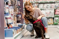 edmonton existing pet retail - 1