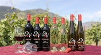 award-winning winery vineyard with - 3
