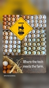 24 7 automatic grocery - 3