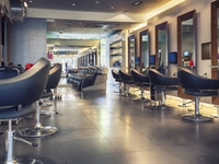 established luxury hair salon - 1