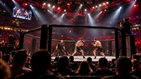 established combat sports promotion - 1
