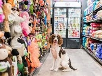 north edmonton pet retail - 1