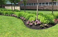landscaping skid steer business - 1
