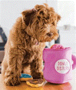 amazing pet supply grooming - 3