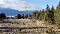potential land development within - 3
