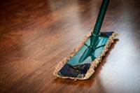 trademarked estabished cleaning services - 1