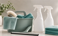 established cleaning business muskoka - 1