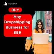 online dropshipping ecommerce business - 1