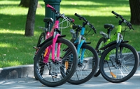 award-winning bicycle retailer proven - 1