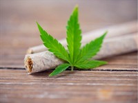 canadian cannabis accessories company - 1