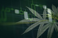 profitable veteran-focused virtual medical - 1