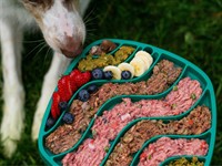 pet food manufacturer for - 1