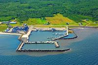 processing fish plant ready - 1