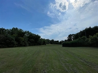 licensed dog kennel fenced - 1