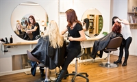 profitable hair salon ontario - 1