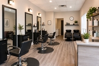 phenix salon suites franchise - 1