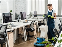 niagara region cleaning business - 3
