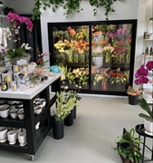 the only flower shop - 1