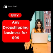 profitable dropshipping online website - 1
