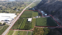 farm oliver - 1