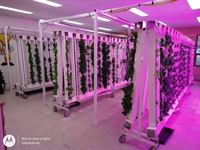 repurposed agribusiness hub vertical - 1