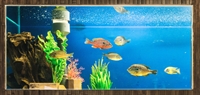 established aquarium pet supplies - 1