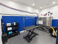 owner absentee pet care - 2