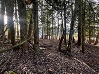 rare residential lot within - 3