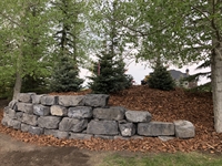 established landscaping construction business - 3