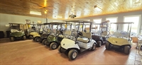 thriving golf car dealership - 1