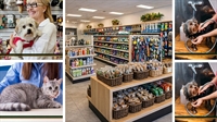 branded pet food supplies - 1