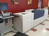 successful printing business hamilton