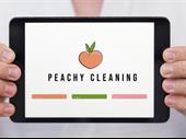 work from home cleaning