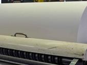 specialty paper distribution converting