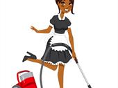 great online cleaning business