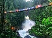 profitable waterfall suspension bridge