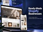 profitable online dropshipping website