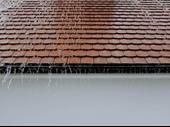 highly profitable distinguished roofing