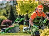 well established landscaping business