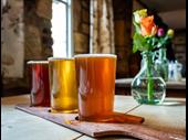 turnkey award winning brewery