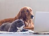 profitable pet business online