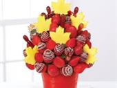 franchise retail gift store