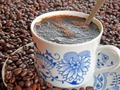 established café alberta