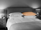 profitable mattress retailer coastal