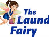 established home-based laundry business