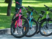 thriving bicycle retailer offering
