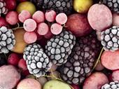 organic frozen food wholesaler