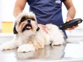 highly rated pet grooming