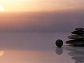 well-established holistic wellness franchise